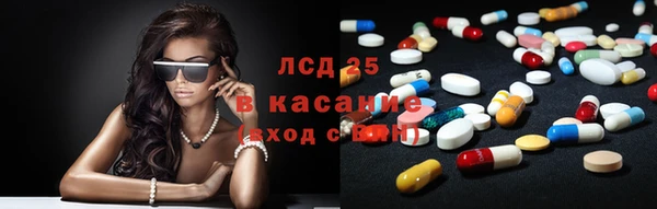 гашик Володарск