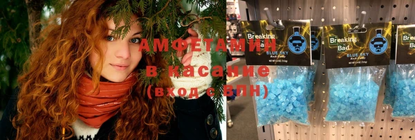 прущие грибы Волоколамск