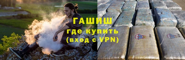 прущие грибы Волоколамск