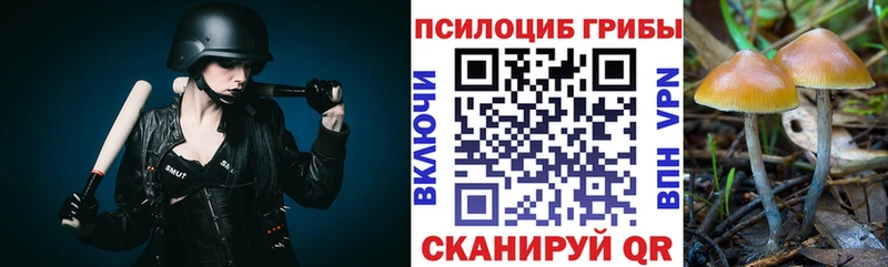Галлюциногенные грибы ЛСД Зубцов